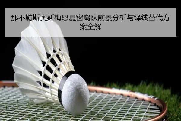 那不勒斯奥斯梅恩夏窗离队前景分析与锋线替代方案全解